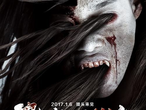 Università di Trieste硕士证书